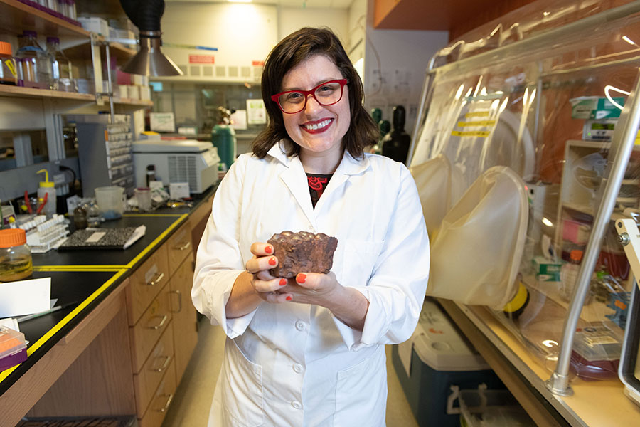 Assistant Professor Jennifer Glass holds a specimen in her lab. (Photo: School of Earth and Atmospheric Sciences)