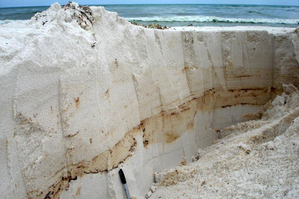 Researchers dug trenches along Pensacola Beach, Florida, to collect sand at many points and use state-of-the-art genomic techniques to study the microbial community in the sand. (Photo: Markus Huettel)