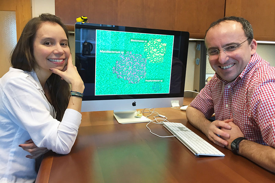 Georgia Tech Doctoral Student Maria Juliana Soto-Girón and School of Civil and Environmental Engineering Associate Professor Kostas Konstantinidis are shown with an image of several types of bacteria. (Photo: John Toon)
