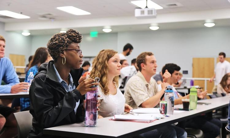 Undergraduate students in a classroom