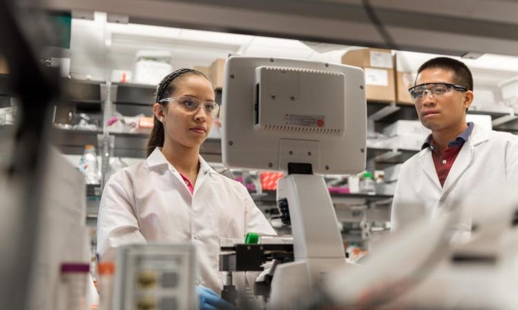 Female graduate student in a lab coat and a male student in a lab coat working in a lab
