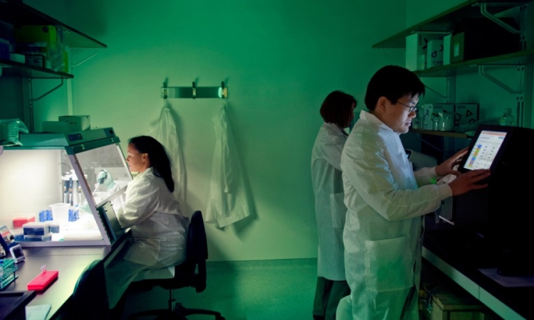 Microbiologists use next-generation sequencing technology to identify a bacterial DNA fingerprint. (Photo: Centers for Disease Control and Prevention)