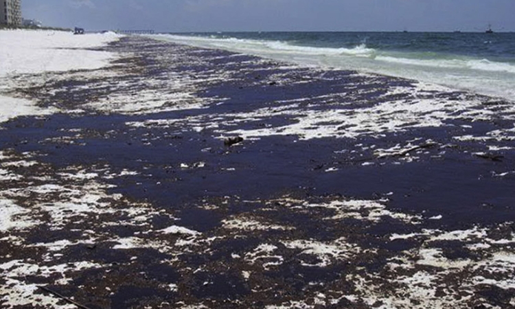 Pensacola Beach in the Florida Panhandle, one of the areas where oil washed ashore after the Deepwater Horizon oil spill in April 2010. (Photo Courtesy: Smruthi Karthikeyan)