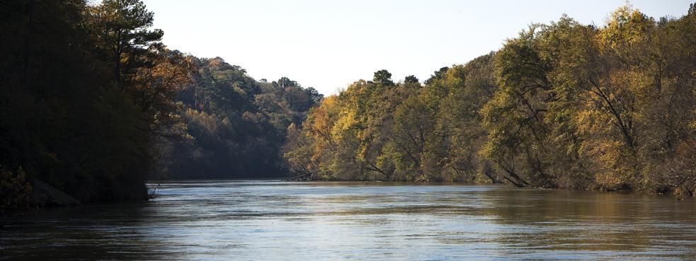 A river surrounded by trees