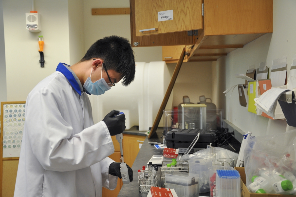 Person conducting research in a lab