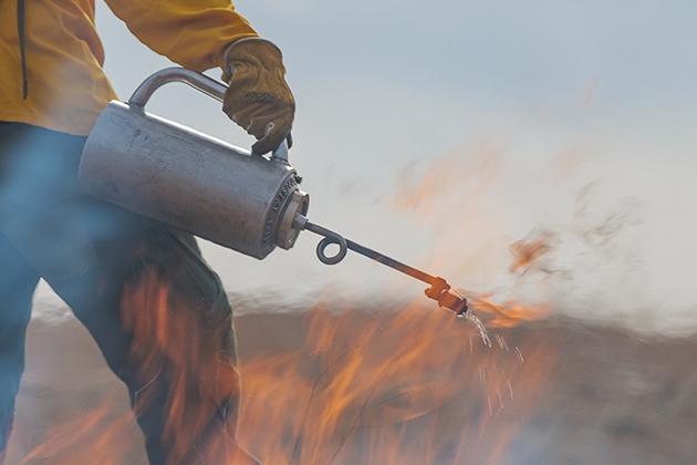 A person holding a drip torch to ignite dead grass for a controlled burn
