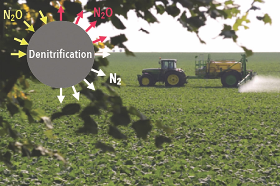 Microbes in soil can break down nitrous oxide, N2O, into harmless nitrogen, N2, but they don't always do a good job, according to Professor Kostas Konstantinidis. He has a new grant from the National Science Foundation to understand why. The problem is that the nitrous oxide is a powerful and damaging greenhouse gas. The study will focus on agricultural land, where nitrogen is often added to soil as fertilizer, and tropical forests. (Image Courtesy: Kostas Konstantinidis)