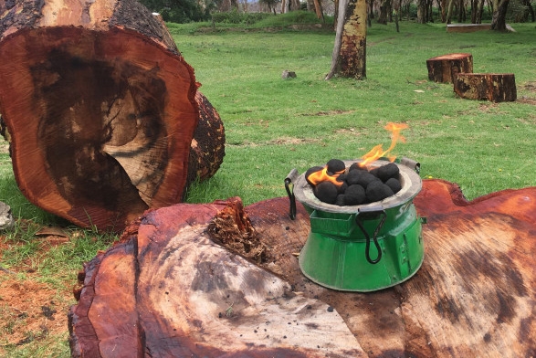 Cleaner-burning biomass fuel briquettes produced by Sanivation to replace firewood or charcoal for cooking.
