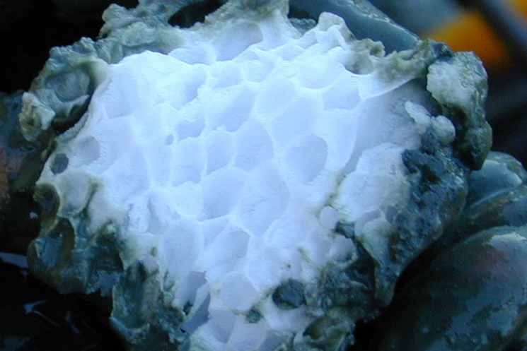 Structure of a methane clathrate block found embedded in sediment in the subduction zone off Oregon’s coast. A German research ship found this hydrate roughly 4,000 feet below the ocean’s surface in the top layer of the ocean floor. (Photo Courtesy: Wusel007 via Wikimedia Commons)